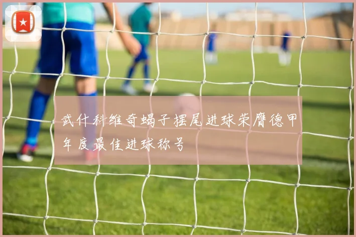 武什科维奇蝎子摆尾进球荣膺德甲年度最佳进球称号